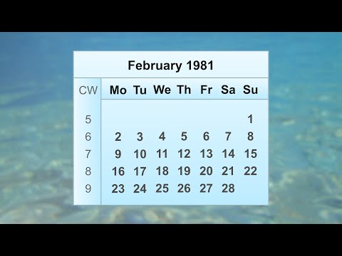 February 1981 Calendar