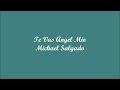 Te Vas Angel Mio (Your Leaving Angel Of Mine) - Michael Salgado (Letra - Lyrics)