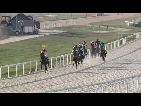 2020.11.22. 06. futam - NOVEMBERI DÍJ (IV.kat.) (szintetikus pálya)