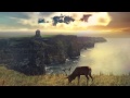Max Elto - Backyard Animals 