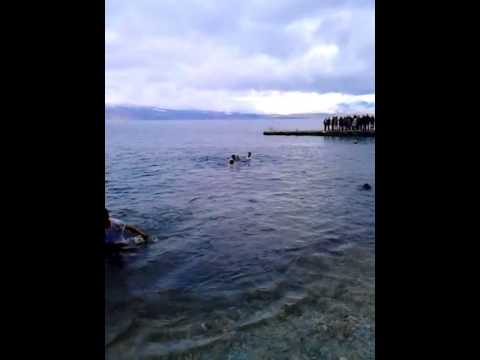 Vodici 2013 - Trpejca