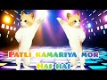 Patli Kamariya Mor Hai Hai Patli Kamariya Mori Full Song Video Cute Cats Dance Video Funny Cat