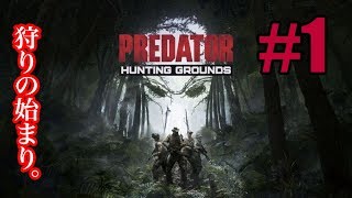 #1【サバイバル】フッキーの「Predator: Hunting Grounds」 (プレデター:ハンティンググラウンズ)トライアルベータ／LIVE