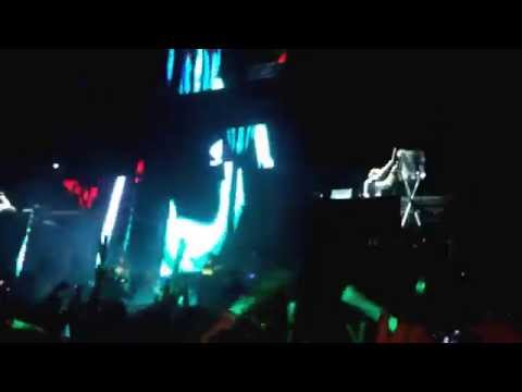 funjoya 2015 tomer maizner