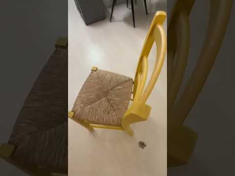 Sedia Venezia colore giallo con seduta in paglia