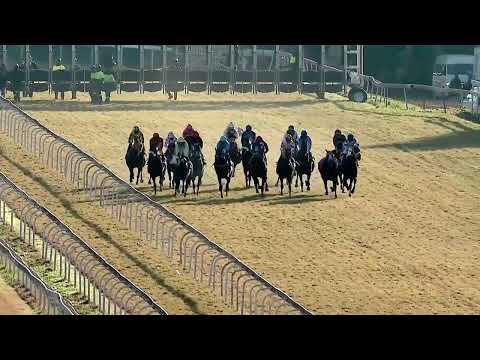 MUZI  YENI.A VERY LUCKY ESCAPE IN TURFFONTEIN FALL.