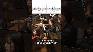 Download lagu エルガー / 『南国にて』より mp3