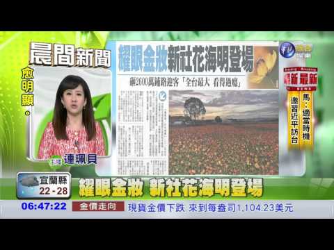 耀眼金妝 新社花海明登場