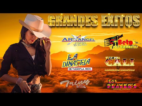 Puro Tierra Caliente Mix 2025 🔥 Tierra Cali / La Dinastia / Los Rayos 💥 Los Mejores Éxitos