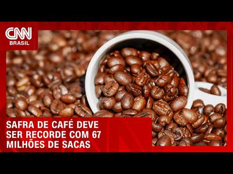 Conab eleva estimativa de safra de café para 67,6 milhões de sacas | CNN AGRO NEWS