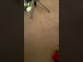 Backyardigans Volume 2 Part 6