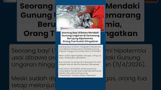 Nekat Bawa Bayi Mendaki di Gunung Ungaran, Berakhir Hipotermia Meski Orangtua Sudah Diingatkan