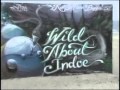 big mike - marinate feat  big v and agallah