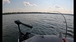 Ploppin' for Pike on August Long - Emma Lake Mashup