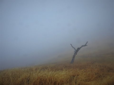 Aural Imbalance Podcast #8 (Atmospheric)