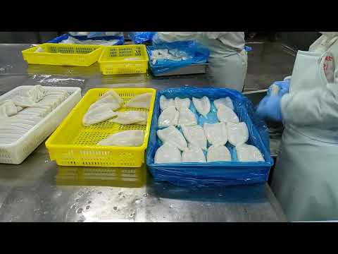 Squid Tubes Processing   Kingsun Foods