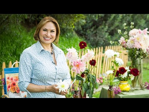image-Can you grow dahlias in the shade?