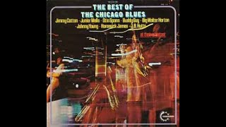 Various – The Best Of The Chicago Blues/D2 Otis Spann– Some Day -Vanguard – VSD-1/2 Canada/ 1970