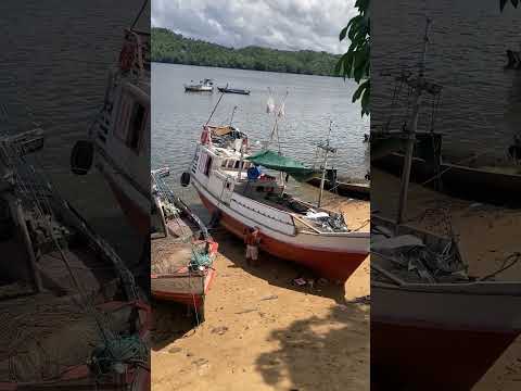 Rio Oiapoque - Oiapoque - AP - Setembro 2026
