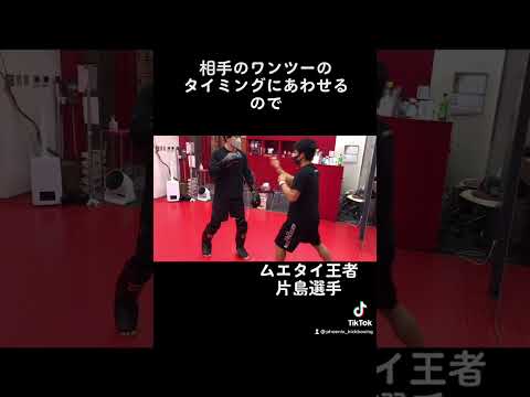 ジャブにあわせられるので使いやすい右ストレートのカウンター