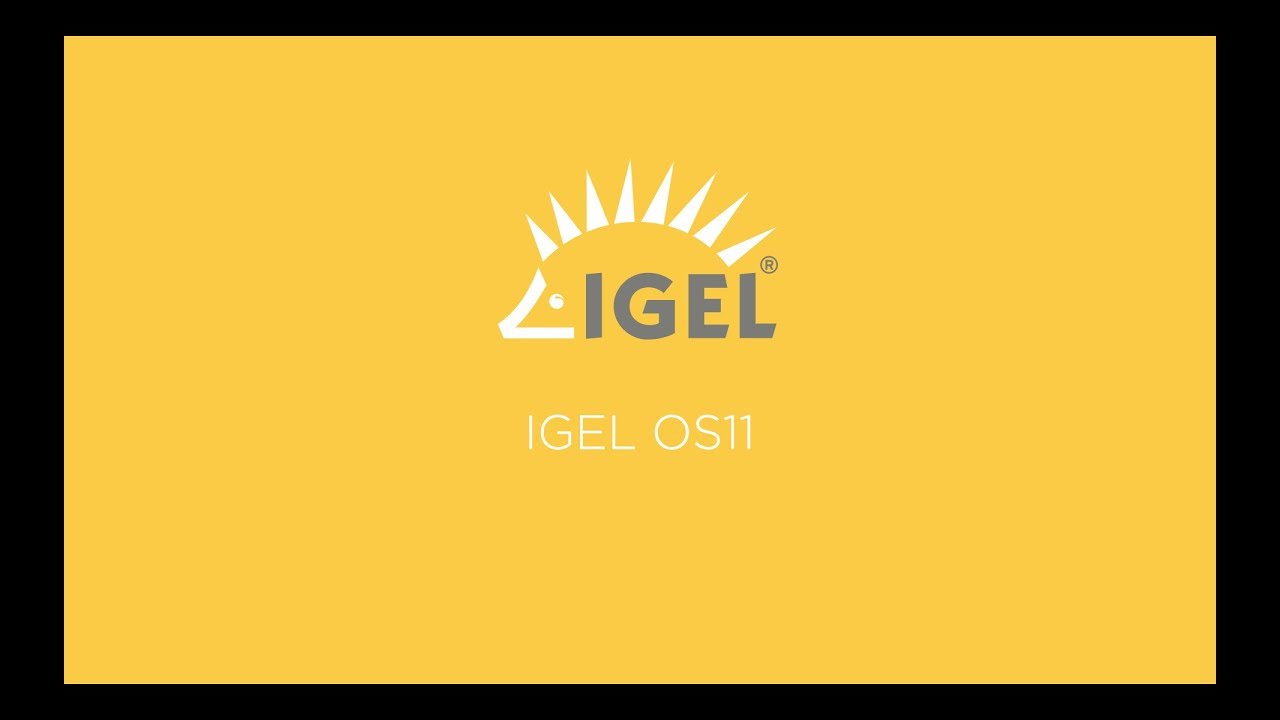 IGEL OS11 Priority Subscription 1 Jahr