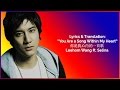 Lyrics & Translation: 你是我心内的一首歌-- You Are a Song ...