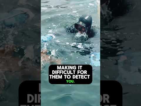 🚨Surviving SHARK Attacks: 3 Techniques to SAVE Your Life! 😱🦈#surflifesaving #scarystories #shorts