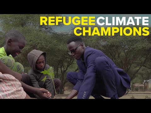 Empower refugees in Zimbabwe to plant 50,000 trees