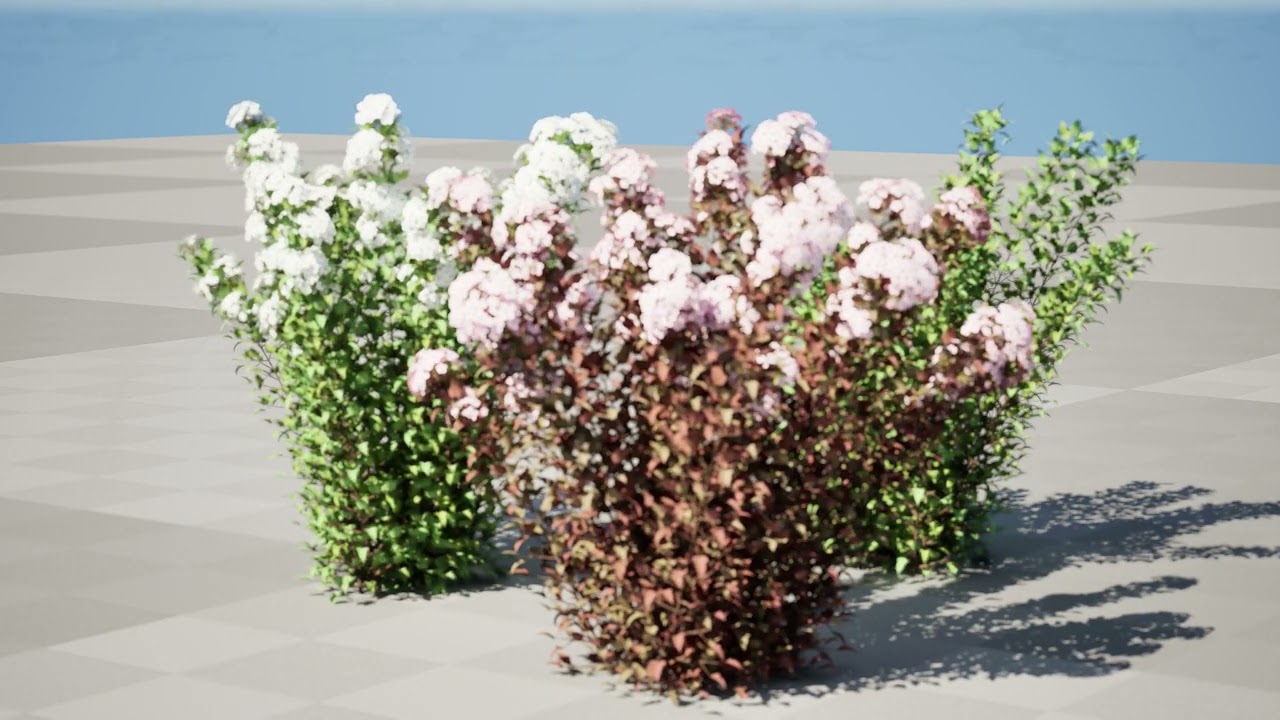 Tiny Wine Ninebark Shrub 3D Model