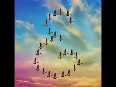 Everett - Welcome (New Sin)