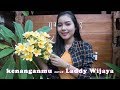 Kenangamu Cover By Laddy Wijaya