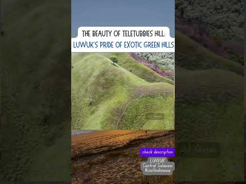 #502.The Beauty of TELETUBBIES HILL:Luwuk's Pride Exotic Green Hills #visitindonesia #shorts #unique