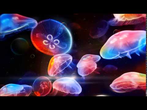 Liquid Viking - Exclusive Psymedia Mix II 2015