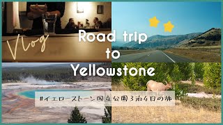 【ロードトリップ】東京の4倍!?イエローストーン3泊4日の旅【Part1】