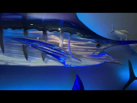 EXO-STENCIL series metal fish wall sculptures