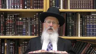 הגאון הרב אברהם יוסף שליט"א האם מותר לומר סליחות לפני חצות לילה (הרב אברהם יוסף) - התמונה מוצגת ישירות מתוך אתר האינטרנט יוטיוב. זכויות היוצרים בתמונה שייכות ליוצרה. קישור קרדיט למקור התוכן נמצא בתוך דף הסרטון