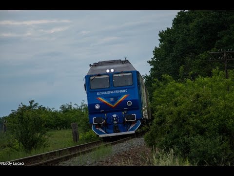 Székely Gyors & Csíksomlyó Expressz 2018 Arrival/Sosire in Valea lui Mihai (21.05.2018)