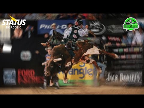 VÍDEO DE RODEIO PARA STATUS | STATUS DE RODEIO