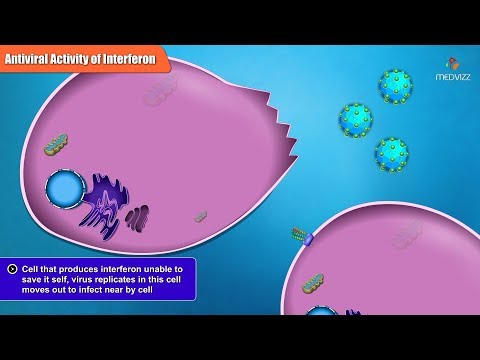 Antiviral Activities of Different Interferon Types and Subtypes
