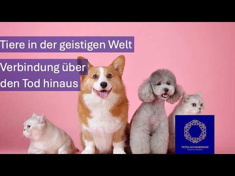 Tiere in der geistigen Welt – Verbindung über den Tod hinaus