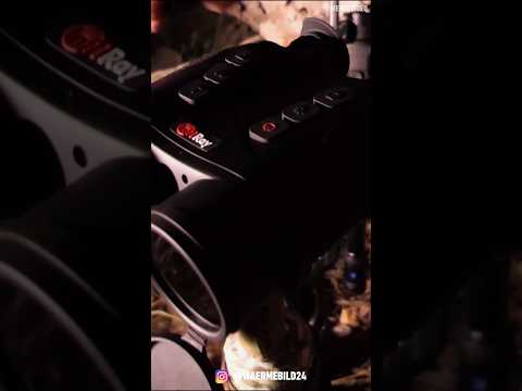 Gemini VS Merger VS Raptor 🥊 Drei Premium Wärmbild-Ferngläser im Reviertest 🌿