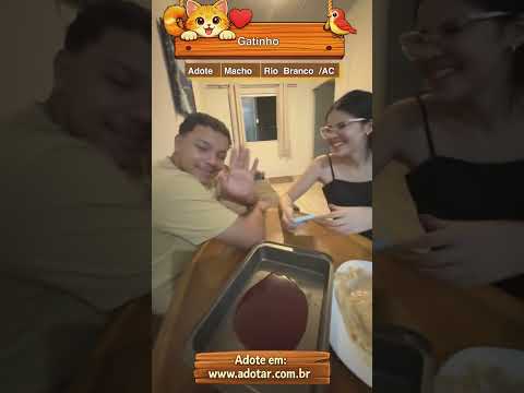Vídeo de Gatinho 