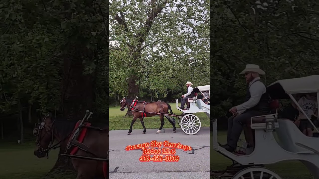 Promotional video thumbnail 2 for Orange Sky Carriage Rides LLC