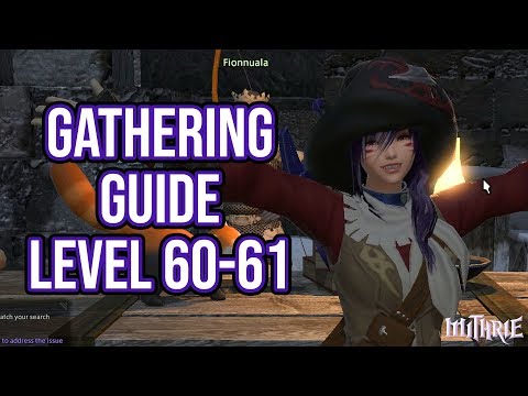 FFXIV 4.0 1065 Gathering Guide Level 60 to 61