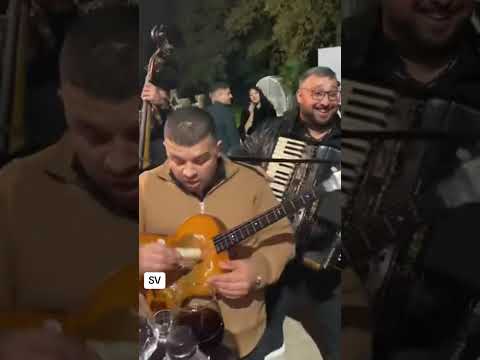 Orkestar stevana vladislava ne bi smeo da te volim 