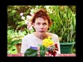 NICHOLAS ALLBROOK - Whispers of Beauty 