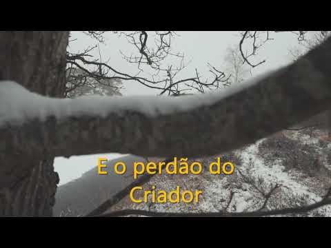 CCB Hino 369 - Sente bater em meu coração (Cantado e Legendado) Hinário 5