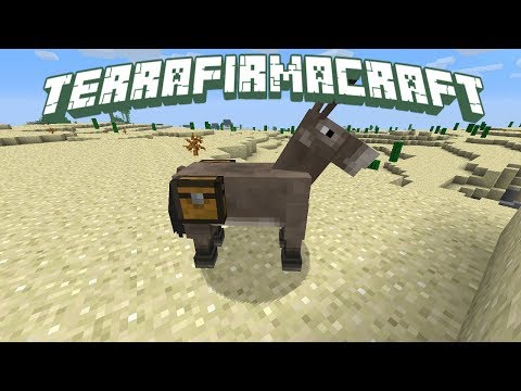 Terrafirmacraft Multi e2