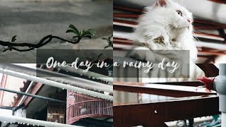 Download lagu HUJAN (CINEMATIC VIDEO) CANON EOS M100 | ONE DAY IN A | RAINY DAY CINEMATIC mp3