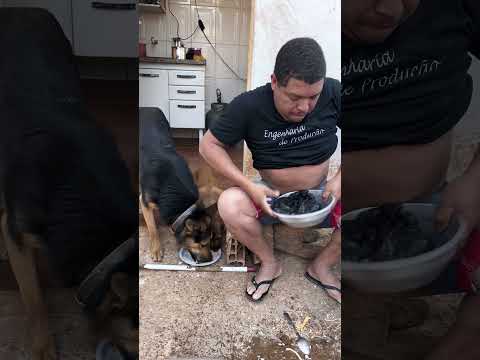 Fiquei sem comida de novo #comedia #funil #desafioengraçado